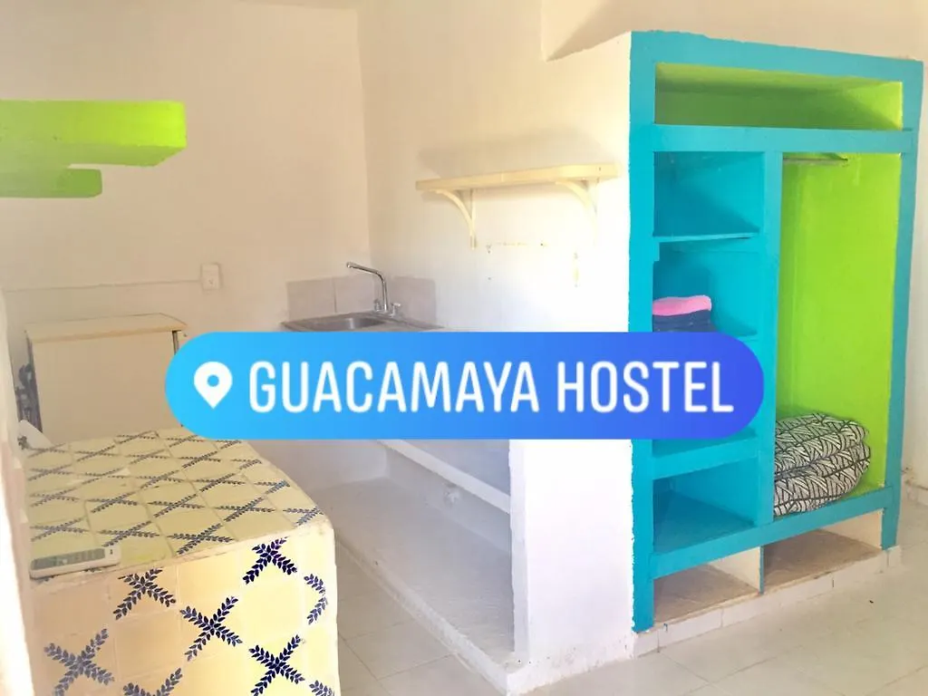 Guest house Guacamaya Hostel Playa del Carmen Mexico