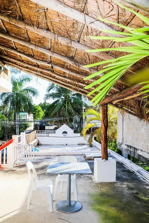 Guest house Guacamaya Hostel Playa del Carmen